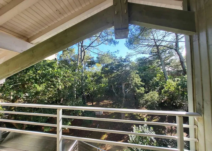 Villa Perica Pour 10 Personnes. Entre Et Ocean. Wifi Gratuit. Soorts-Hossegor